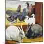 Illustration Depicting Rabbits and Farm Birds-null-Mounted Giclee Print