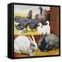 Illustration Depicting Rabbits and Farm Birds-null-Framed Stretched Canvas
