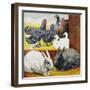 Illustration Depicting Rabbits and Farm Birds-null-Framed Giclee Print