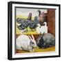 Illustration Depicting Rabbits and Farm Birds-null-Framed Giclee Print