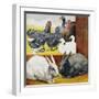 Illustration Depicting Rabbits and Farm Birds-null-Framed Giclee Print