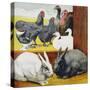 Illustration Depicting Rabbits and Farm Birds-null-Stretched Canvas