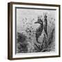 Illustration Depicting Seahorse Giving Birth-null-Framed Giclee Print