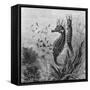 Illustration Depicting Seahorse Giving Birth-null-Framed Stretched Canvas