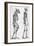 Illustration Depicting Skeleton Comparison of a Human and Gorilla-null-Framed Giclee Print