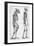 Illustration Depicting Skeleton Comparison of a Human and Gorilla-null-Framed Giclee Print