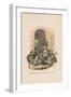 Illustration for Pickwick Papers-Hablot Knight Browne-Framed Giclee Print