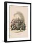 Illustration for Pickwick Papers-Hablot Knight Browne-Framed Giclee Print