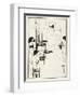 Illustration for Salome by Oscar Wilde, 1906-Aubrey Beardsley-Framed Giclee Print