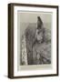 Illustration for Swallow, a Tale of the Great Trek, by H Rider Haggard-William Hatherell-Framed Giclee Print