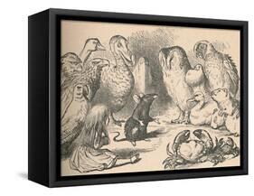 'Illustration for the chapter 'a Caucus-Race and a long tail'. Alice and various creatures, such as-John Tenniel-Framed Stretched Canvas