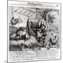 Illustration for "The Dog and the Ox", from Aesop's Fables, 1666-Francis Barlow-Mounted Giclee Print