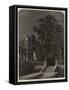 Illustration for the Master of Aran Garth-Samuel Read-Framed Stretched Canvas