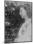 Illustration for the Poem 'Maud' by Alfred, Lord Tennyson, 1865 (Albumen Print)-Julia Margaret Cameron-Mounted Giclee Print
