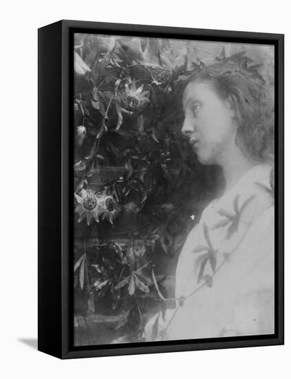 Illustration for the Poem 'Maud' by Alfred, Lord Tennyson, 1865 (Albumen Print)-Julia Margaret Cameron-Framed Stretched Canvas