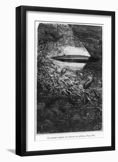 Illustration from "20,000 Leagues under the Sea"-Alphonse Marie de Neuville-Framed Giclee Print