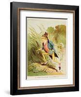 Illustration from 'A Frog He Would A-Wooing Go'-Randolph Caldecott-Framed Giclee Print