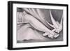 Illustration from a Portfolio of Erotic Cartoons, C.1920S-null-Framed Giclee Print