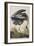 Illustration from 'Birds of America', 1827-38 (Hand-Coloured and Aquatint)-John James Audubon-Framed Giclee Print