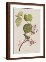 Illustration from 'Birds of America', 1827-38-John James Audubon-Framed Giclee Print