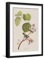 Illustration from 'Birds of America', 1827-38-John James Audubon-Framed Giclee Print