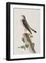 Illustration from 'Birds of America', 1827-38-John James Audubon-Framed Giclee Print