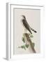 Illustration from 'Birds of America', 1827-38-John James Audubon-Framed Giclee Print