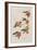 Illustration from 'Birds of America', 1827-38-John James Audubon-Framed Giclee Print