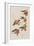 Illustration from 'Birds of America', 1827-38-John James Audubon-Framed Giclee Print