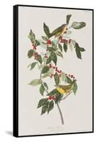 Illustration from 'Birds of America', 1827-38-John James Audubon-Framed Stretched Canvas