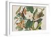 Illustration from 'Birds of America', 1827-38-John James Audubon-Framed Giclee Print