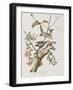 Illustration from 'Birds of America', 1827-38-John James Audubon-Framed Giclee Print