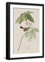 Illustration from 'Birds of America', 1827-38-John James Audubon-Framed Giclee Print