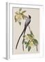 Illustration from 'Birds of America', 1827-38-John James Audubon-Framed Giclee Print