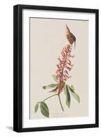 Illustration from 'Birds of America', 1827-38-John James Audubon-Framed Giclee Print