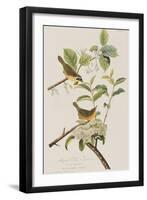 Illustration from 'Birds of America', 1827-38-John James Audubon-Framed Giclee Print