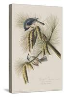 Illustration from 'Birds of America', 1827-38-John James Audubon-Stretched Canvas