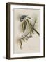 Illustration from 'Birds of America', 1827-38-John James Audubon-Framed Giclee Print