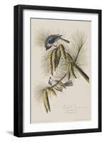 Illustration from 'Birds of America', 1827-38-John James Audubon-Framed Giclee Print