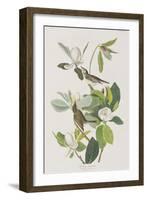 Illustration from 'Birds of America', 1827-38-John James Audubon-Framed Giclee Print