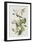 Illustration from 'Birds of America', 1827-38-John James Audubon-Framed Giclee Print