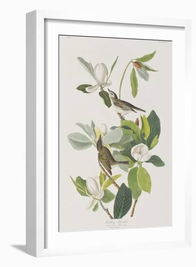 Illustration from 'Birds of America', 1827-38-John James Audubon-Framed Giclee Print