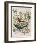 Illustration from 'Birds of America', 1827-38-John James Audubon-Framed Giclee Print