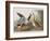 Illustration from 'Birds of America', 1827-38-John James Audubon-Framed Giclee Print