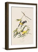 Illustration from 'Birds of America', 1827-38-John James Audubon-Framed Giclee Print