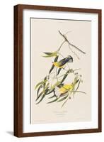 Illustration from 'Birds of America', 1827-38-John James Audubon-Framed Giclee Print