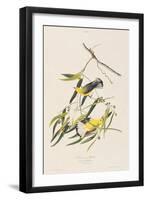 Illustration from 'Birds of America', 1827-38-John James Audubon-Framed Giclee Print