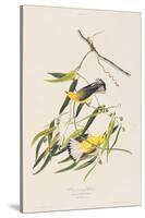 Illustration from 'Birds of America', 1827-38-John James Audubon-Stretched Canvas