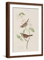 Illustration from 'Birds of America', 1827-38-John James Audubon-Framed Giclee Print