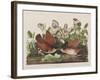 Illustration from 'Birds of America', 1827-38-John James Audubon-Framed Giclee Print